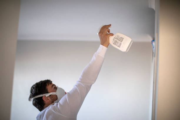 Best Post-Remediation Services in Mount Vernon, OH