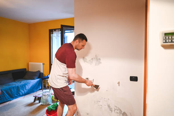 Best Black Mold Remediation in Mount Vernon, OH