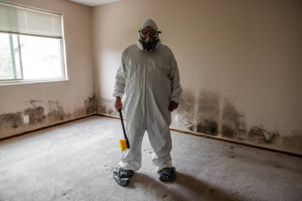 Best Industrial Mold Remediation in Mount Vernon, OH